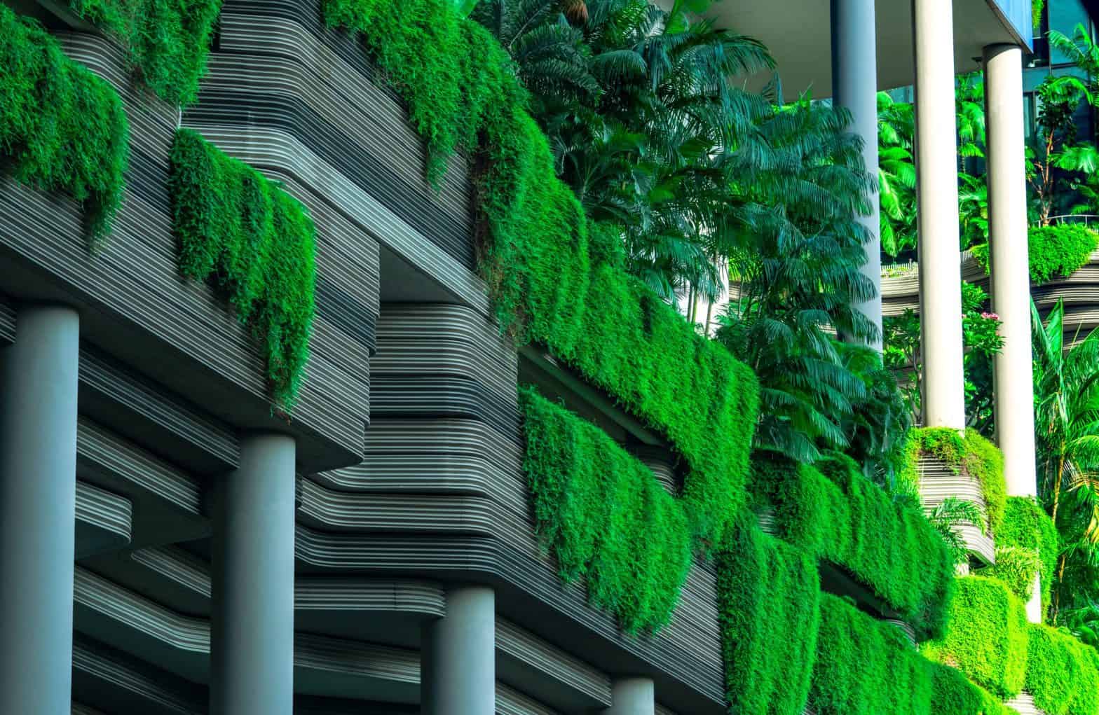 Green Architecture